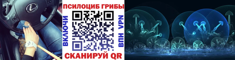 ссылка на мегу ссылки  Майкоп  Галлюциногенные грибы GOLDEN TEACHER 